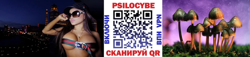 купить наркоту  Юрга  Псилоцибиновые грибы прущие грибы 